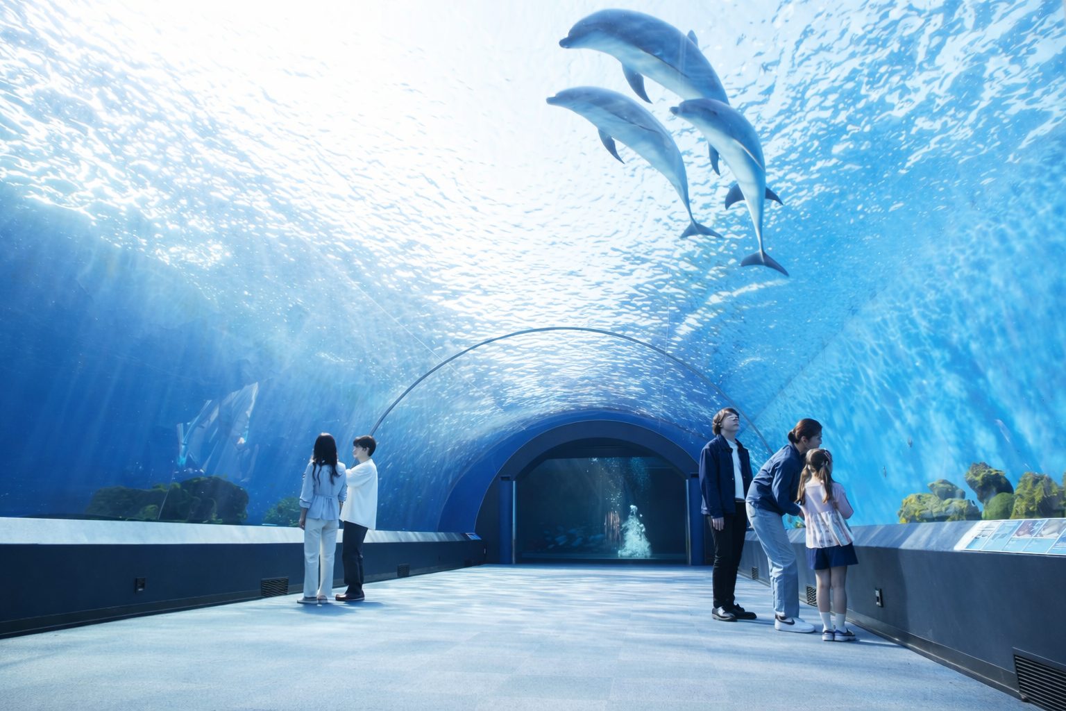 横浜・八景島シーパラダイスは水族館も乗り物も欲張りたい日に